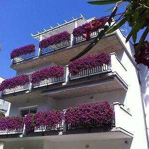 Residence Ola